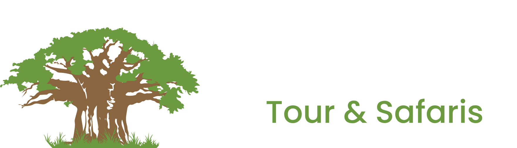 Dastel Tour and Safaris — homepage