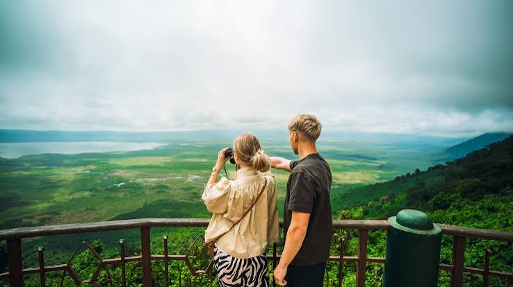 Why Safari Guides Matter More Than Most Travellers Realise